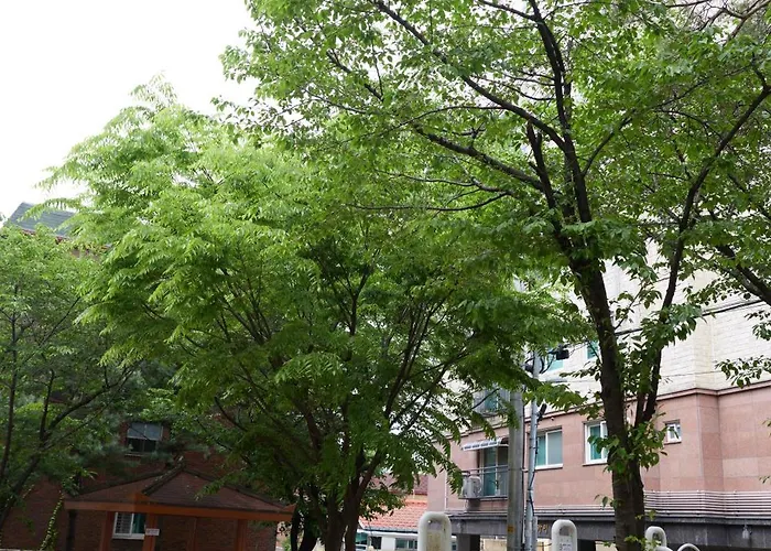 Apartamento 경복궁 도심속 조용한 힐링 무료주차 최대7인 연신내 Gtx-a로 서울역4분 *